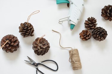 DIY Natural Ornaments