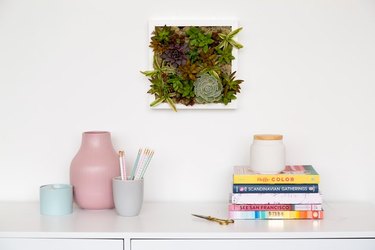 Succulent wall planter over desk with pink and blue vases, and books.