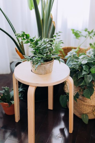 IKEA stool planter