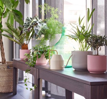 ikea plants and pots