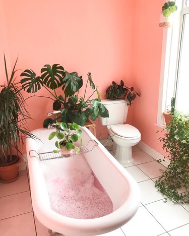 A bathroom painted in vibrant pink