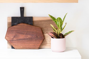 wood boards and plant on shelf