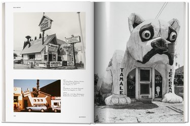 taschen crazy california book