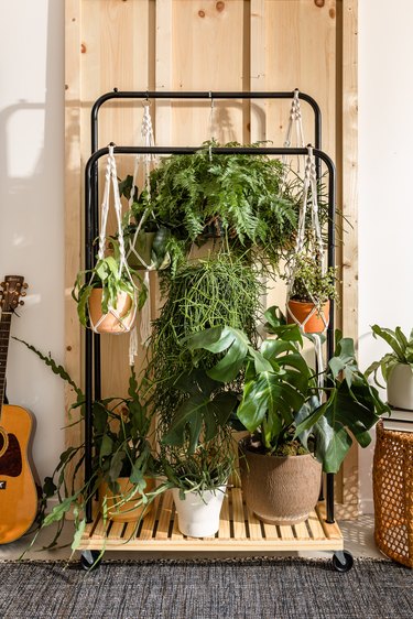 hanging plants and potted plants styled on industrial clothing rail