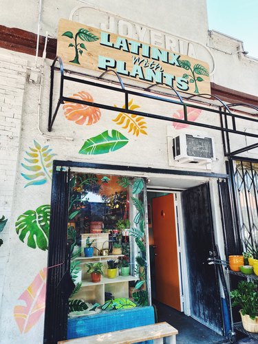 Latinx With Plants storefront