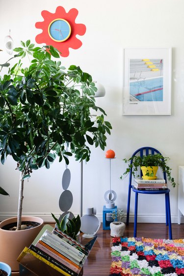 Colorful decor with tall tree plant