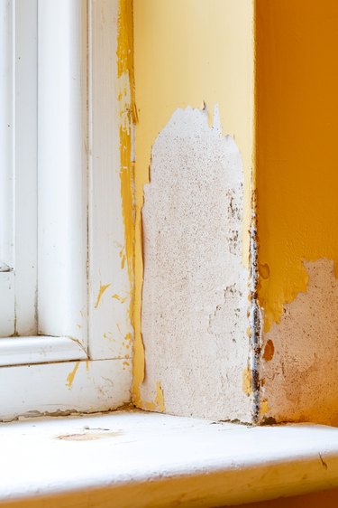 Damp house wall.