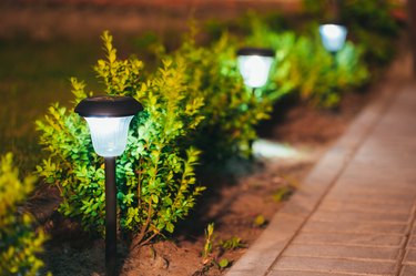 Small Solar Garden Light, Lantern In Flower Bed. Garden Design.