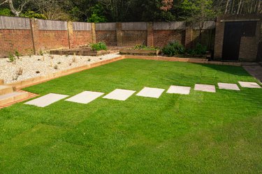 New turf installed around a stepping stone pathway in a garden or back yard.