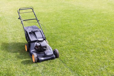 lawn mower in the garden