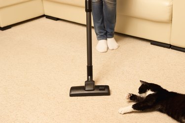 girl vacuuming the house. bright carpet and light leather sofa