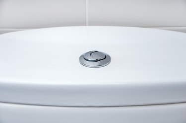 dual flush toilet bowl