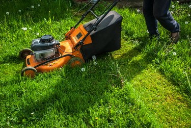 A man mowing grass with a mow in a farm yard