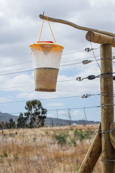 Fly Trap hanging on a fence