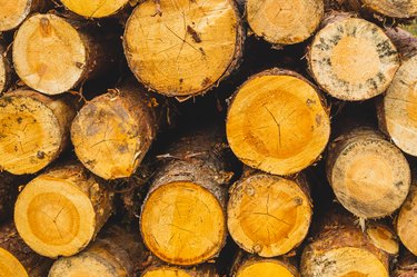 Stack of logs. natural wooden background with timber. log wall