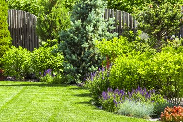 A flower garden in the backyard