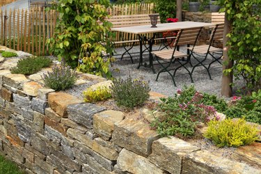 Garden wall with herbs