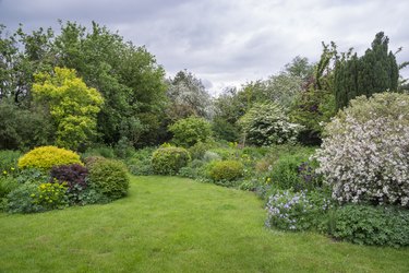 Abundant growth in a cottage garden in May