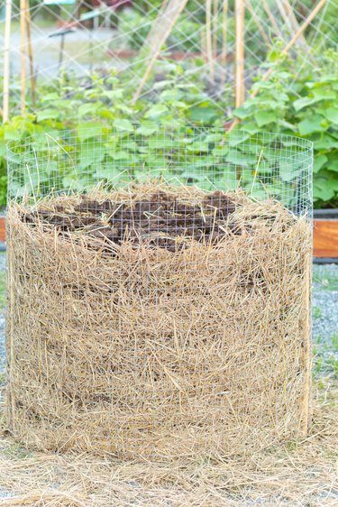 homemade organic fertilizer at the garden