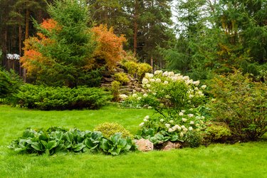 landscaped lawn of plants and artificial rocks