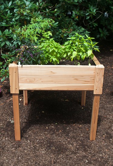 Raised Bed Gardening