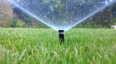 Install an irrigation system