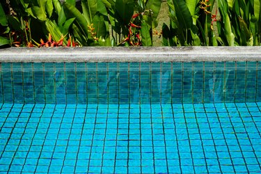 Swimming pool clear water showing turquoise blue clay square tiles and cement grout lines with sandwash edge and Bird of Paradise flower in red and yellow blooming with green leaves background