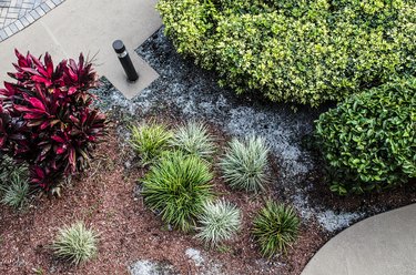 Tropical Landscaping High Angle View