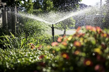 How Does an In-Ground Lawn Sprinkler System Work?