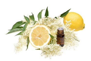 Elderflower, elderflower oil with lemon and leaves isolated on white background