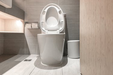 Can You Use Rid X in a Regular Toilet? What You Need to Know