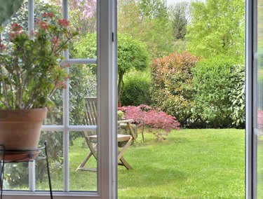 view in garden by windows