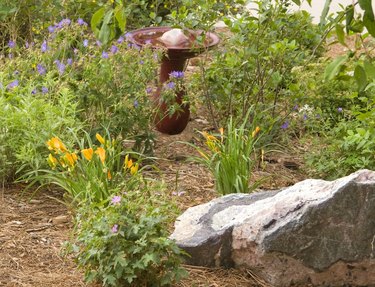 Xeriscape Summer Garden