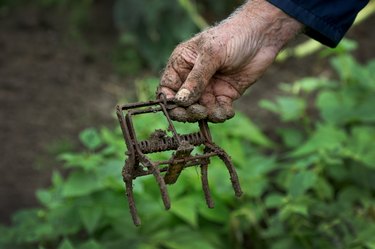 Mole trap.