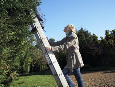 Young woman holding ladder, looking up at man