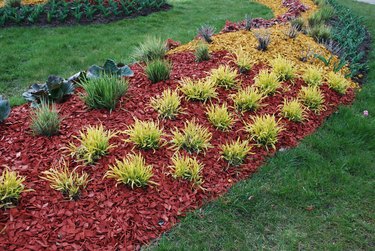 garden in yard with mulch