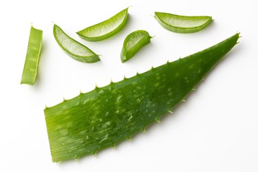 Whole and sliced aloe vera leaf on a white background