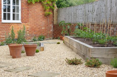 Garden terracotta plant pots