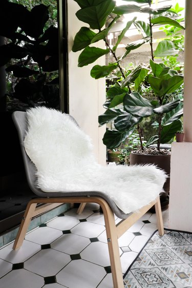White sheepskin on easy chair with vintage rug and fiddle leaf fig tree in pot.