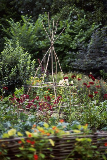 Twig teepee in garden