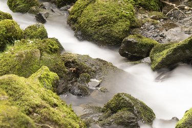 Flowing motion of Waterfall