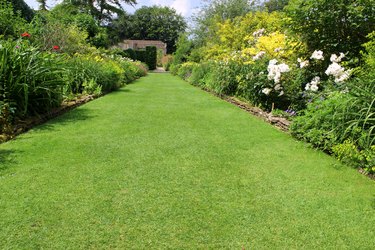 Image of ornamental flower garden with lawn pathway, herbaceous plants