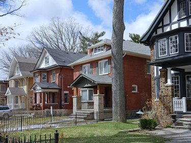 Row of large old detached brick houses with mature trees in the front yard