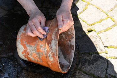 Cleaning a terracotta pot