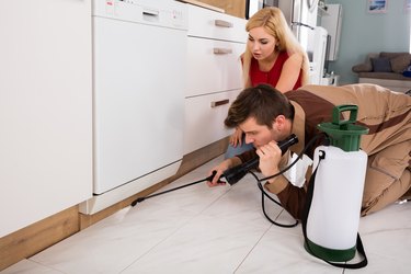 Woman Looking At Male Worker Spraying Insecticide