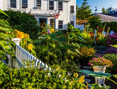 Planting Vegetables in Flower Beds | Hunker