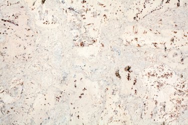 Light beige surface of the cork wood tile closeup, white and brown mottled texture background, abstract gray color decorative spotted pattern, dark stains on light backdrop, marmoreal stone art design