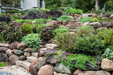 Stone Steps in the Garden