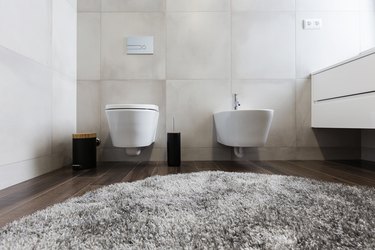 luxury bathroom interior with toilet and  bidet