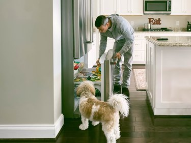 Man Looks for Food in Frig While Pup Looks On